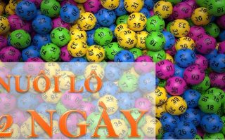 lô nuôi khung 2 ngày