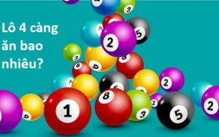 lô, đề 4 càng là gì? cách soi cầu 4 càng hiệu quả?